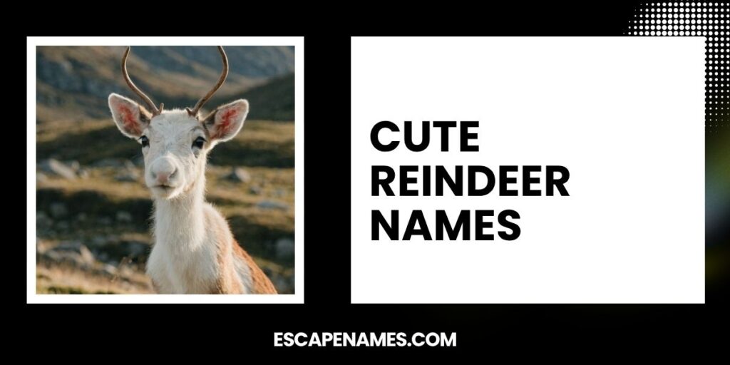 Cute Reindeer Names