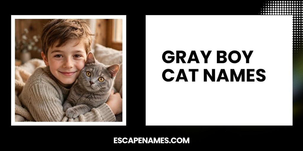 Gray Boy Cat Names