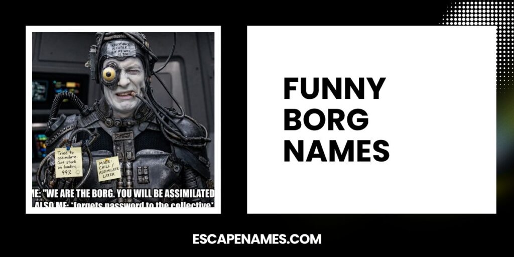 Funny Borg Names