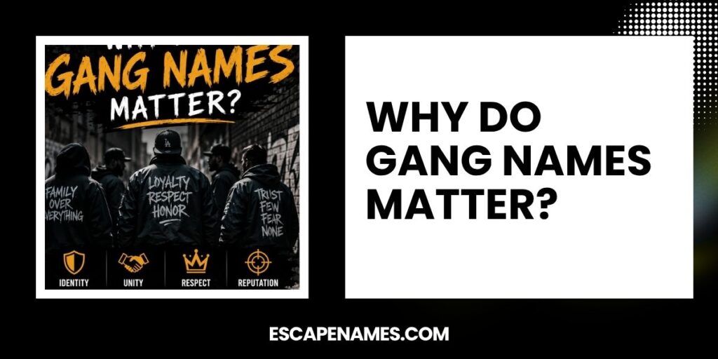 Why Do Gang Names Matter