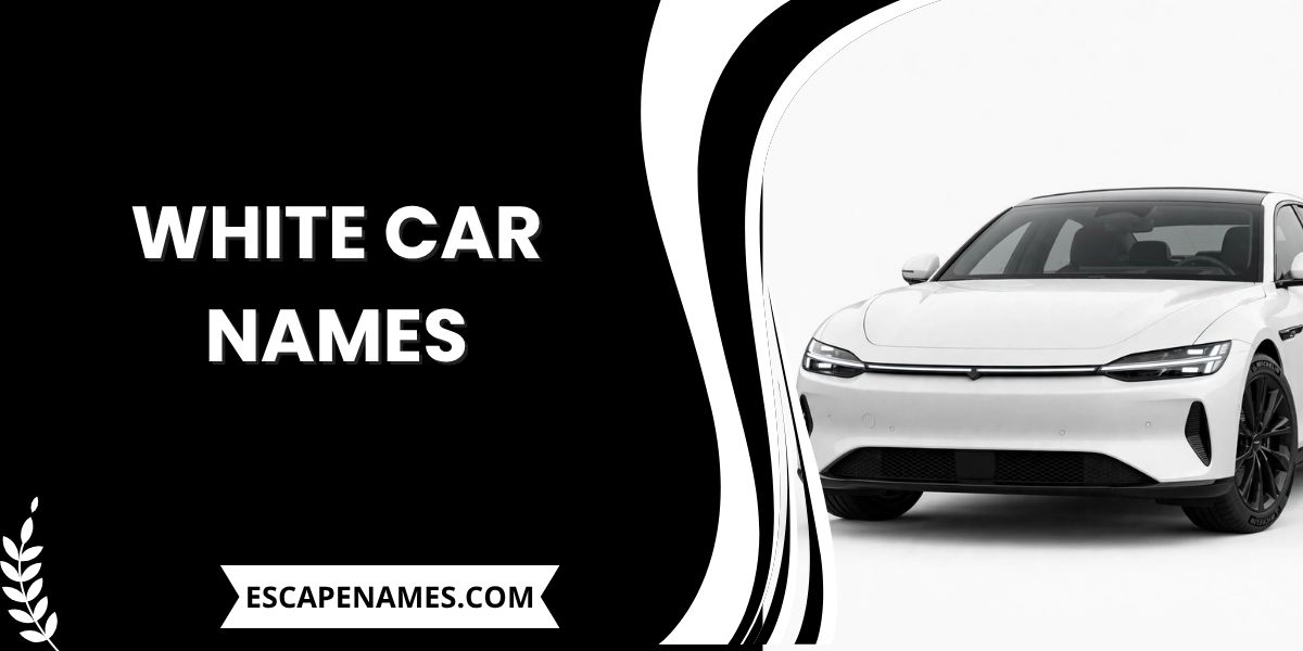 White Car Names