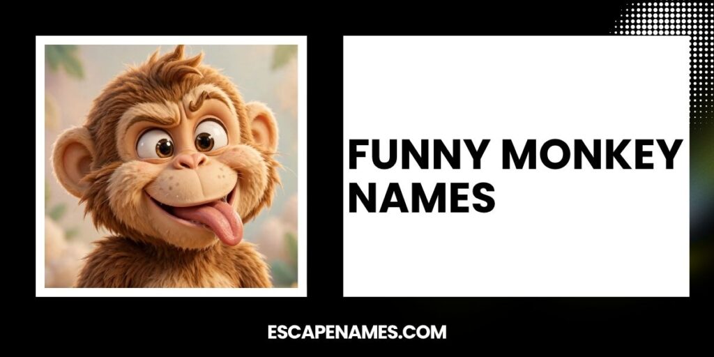 Funny Monkey Names