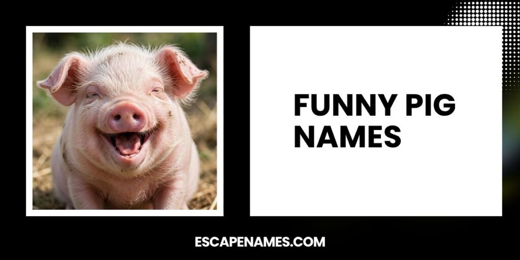 Funny Pig Names 