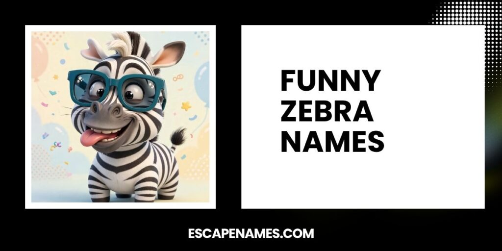 Funny Zebra Names