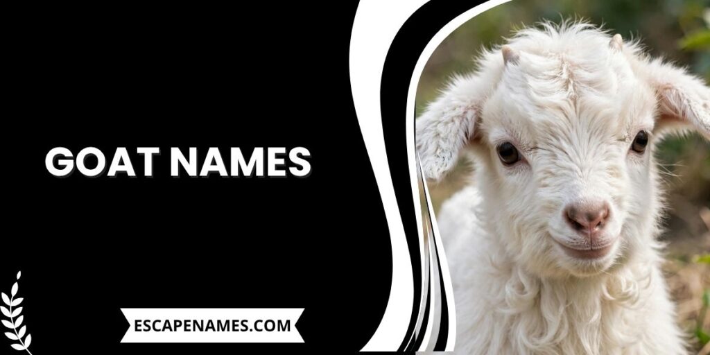 Goat Names