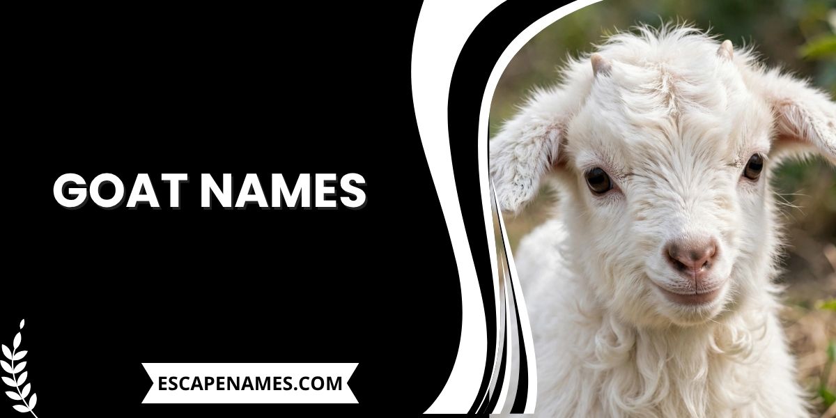 Goat Names