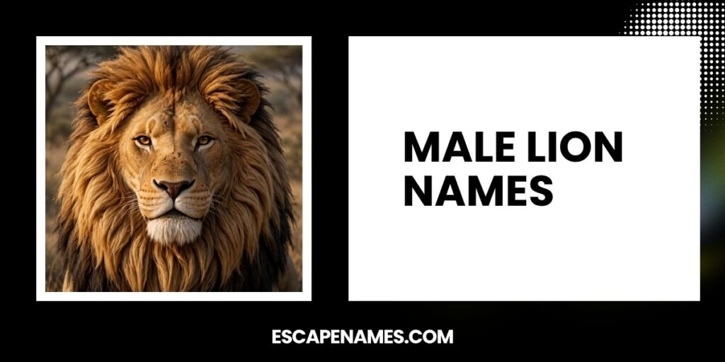 Male Lion Names