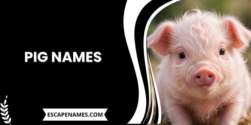 Pig Names