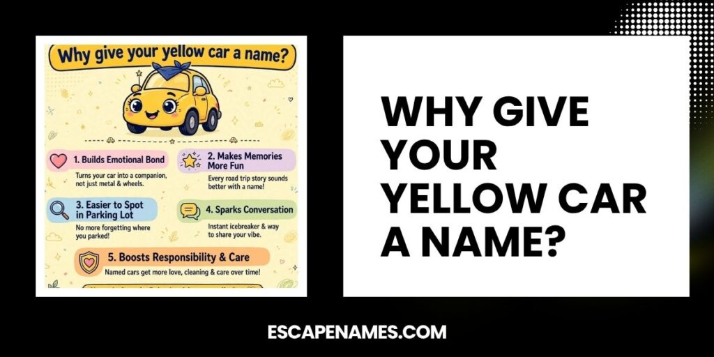 Why Give Your Yellow Car A Name