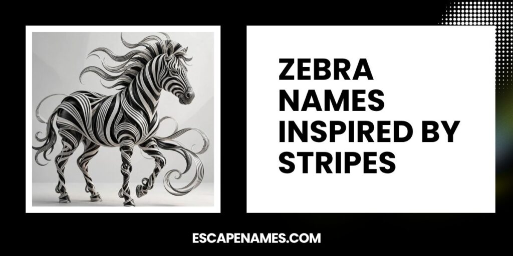 Zebra Names Inspired By Stripes